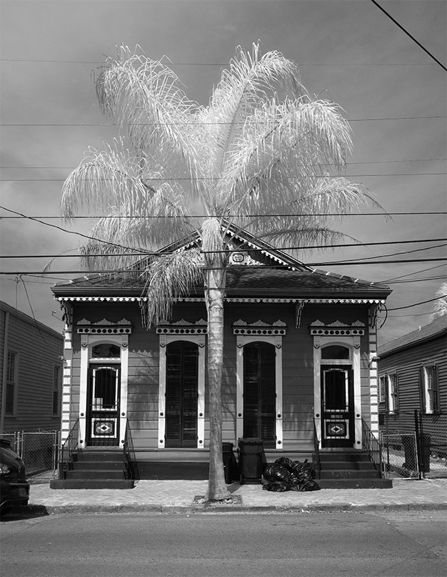 Double Shotgun House with Palm in Infrared.